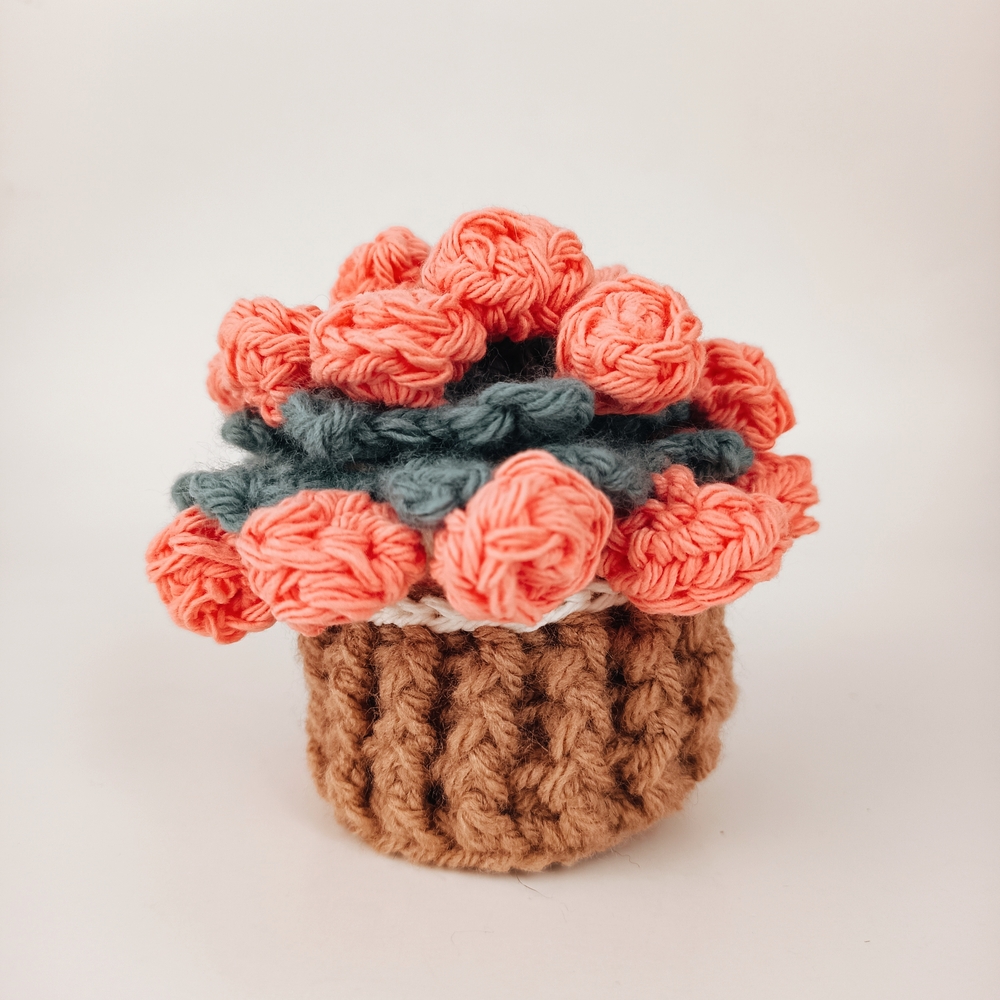 🌷Handcrafted Crochet Flower Coaster Set - Coral and Brown